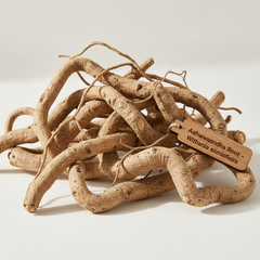 Ashwagandha Extract